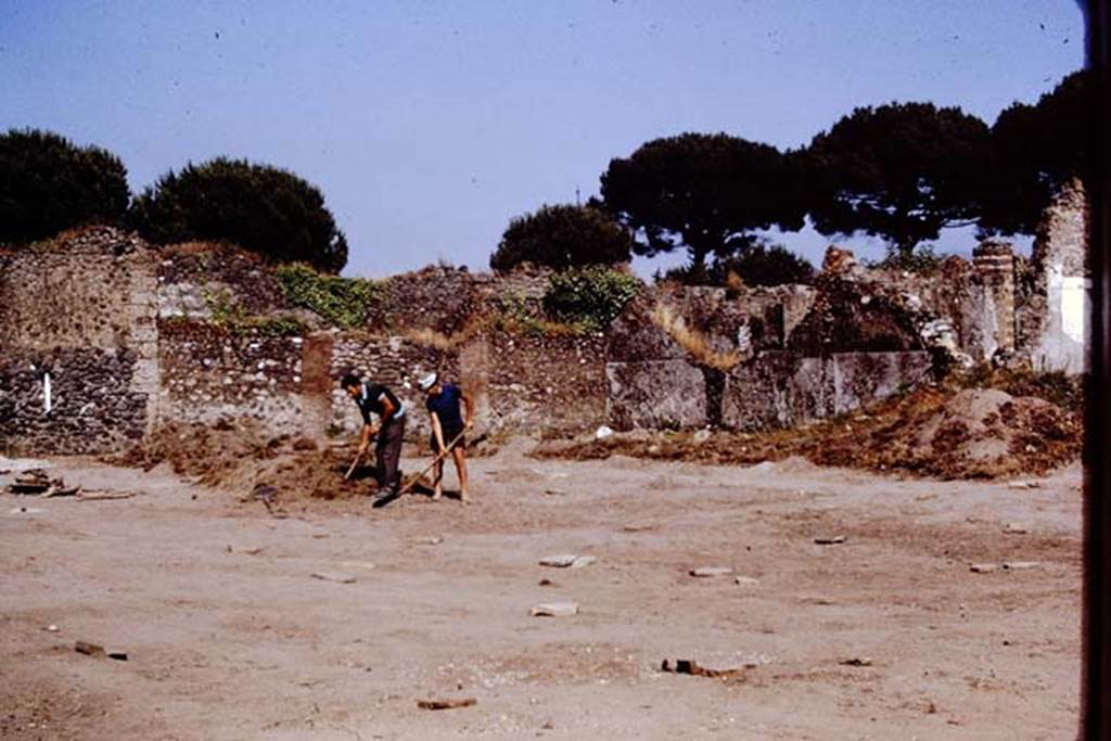 I.20.5 Pompeii. 1972. Looking towards south-east corner. Photo by Stanley A. Jashemski. 
Source: The Wilhelmina and Stanley A. Jashemski archive in the University of Maryland Library, Special Collections (See collection page) and made available under the Creative Commons Attribution-Non Commercial License v.4. See Licence and use details. J72f0087