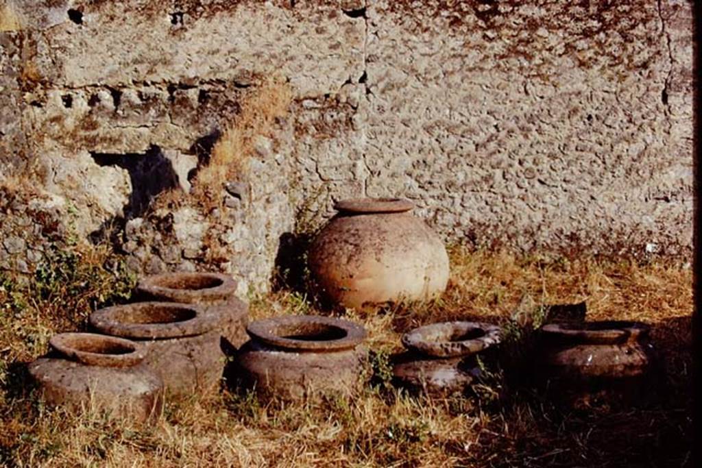 I.20.5 Pompeii. 1972. Dolia near east wall. Photo by Stanley A. Jashemski. 
Source: The Wilhelmina and Stanley A. Jashemski archive in the University of Maryland Library, Special Collections (See collection page) and made available under the Creative Commons Attribution-Non Commercial License v.4. See Licence and use details. J72f0195
According to Wilhelmina, “the 8 dolia embedded in the garden and perhaps the one embedded in the rear shop would have been used for fermenting the must”. 
See Jashemski, W. F., 1993. The Gardens of Pompeii, Volume II: Appendices. New York: Caratzas.  (p.67)