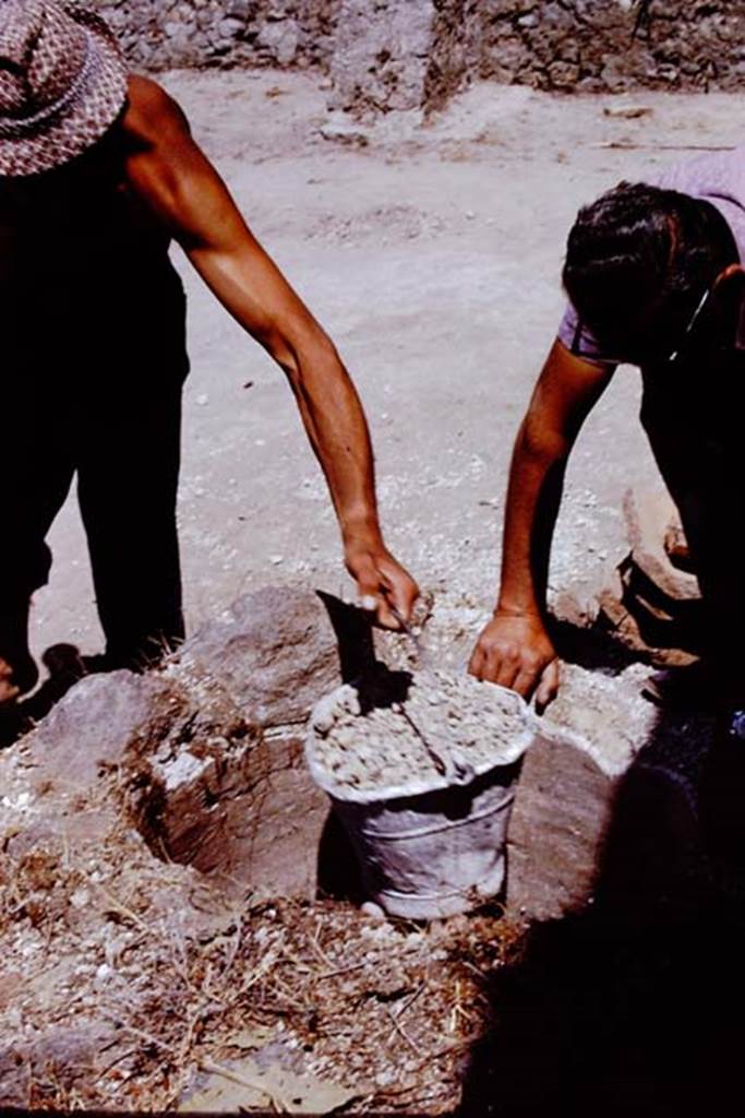I.20.5 Pompeii. 1972. Emptying the cistern. Photo by Stanley A. Jashemski. 
Source: The Wilhelmina and Stanley A. Jashemski archive in the University of Maryland Library, Special Collections (See collection page) and made available under the Creative Commons Attribution-Non Commercial License v.4. See Licence and use details. J72f0158