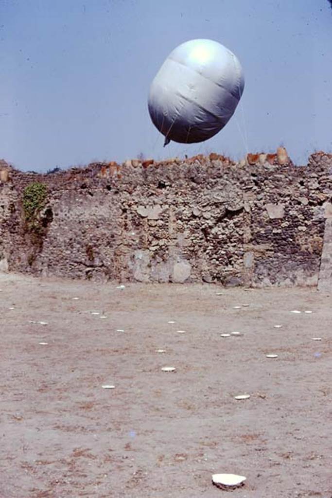 I.20.5 Pompeii. 1974. Looking across painted wooden discs identifying the root cavities, towards the north wall. The “balloon” was outside the wall in the Via della Palestra. Photo by Stanley A. Jashemski.   
Source: The Wilhelmina and Stanley A. Jashemski archive in the University of Maryland Library, Special Collections (See collection page) and made available under the Creative Commons Attribution-Non Commercial License v.4. See Licence and use details. J74f0441