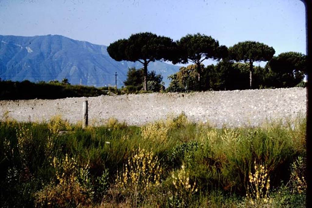 I.21.2 Pompeii. 1964. Looking west across Fugitives Garden, towards triclinium. Photo by Stanley A. Jashemski.  
Source: The Wilhelmina and Stanley A. Jashemski archive in the University of Maryland Library, Special Collections (See collection page) and made available under the Creative Commons Attribution-Non Commercial License v.4. See Licence and use details.
J64f1519