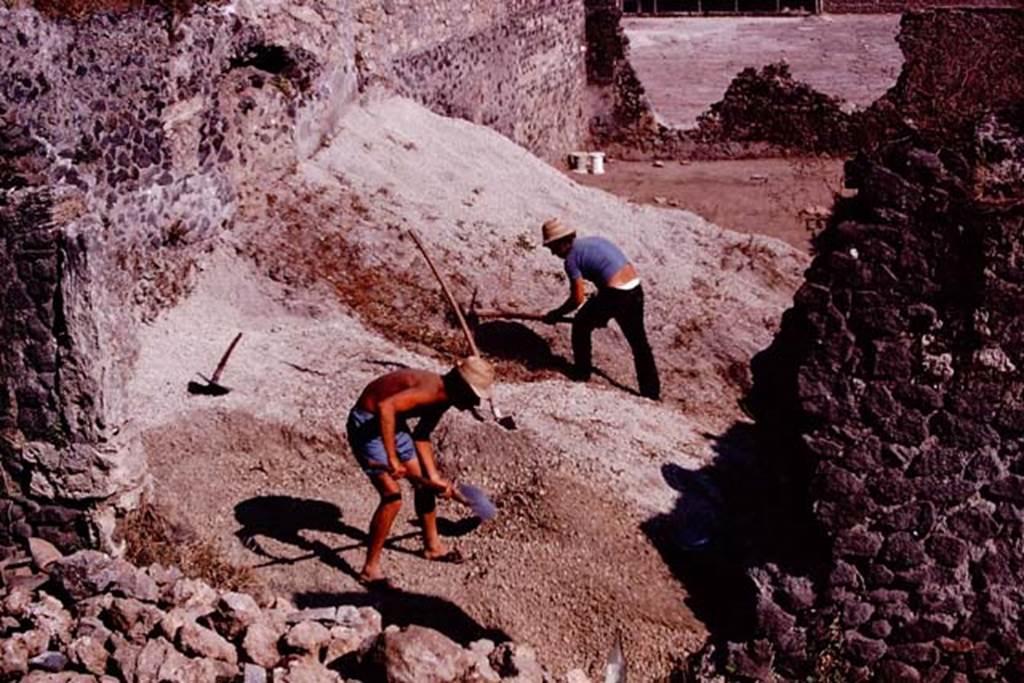 I.21.3 Pompeii. 1974. Looking south along east wall. Photo by Stanley A. Jashemski.   
Source: The Wilhelmina and Stanley A. Jashemski archive in the University of Maryland Library, Special Collections (See collection page) and made available under the Creative Commons Attribution-Non Commercial License v.4. See Licence and use details. J74f0252