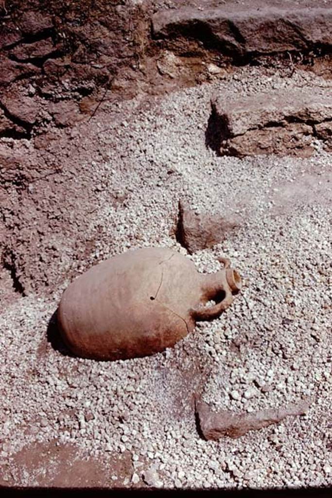 I.21.3 Pompeii. 1974. Pot excavated from near steps. Photo by Stanley A. Jashemski.   
Source: The Wilhelmina and Stanley A. Jashemski archive in the University of Maryland Library, Special Collections (See collection page) and made available under the Creative Commons Attribution-Non Commercial License v.4. See Licence and use details. J74f0262