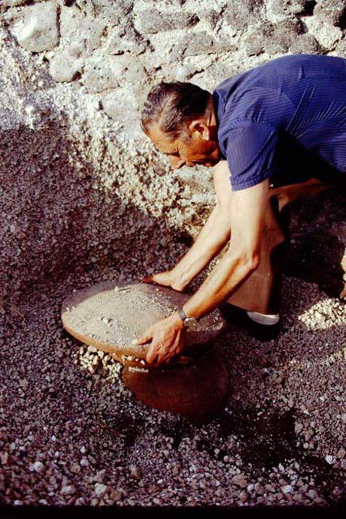 I.21.3 Pompeii. 1974. Sig. Sicignano studying the find. Photo by Stanley A. Jashemski.   
Source: The Wilhelmina and Stanley A. Jashemski archive in the University of Maryland Library, Special Collections (See collection page) and made available under the Creative Commons Attribution-Non Commercial License v.4. See Licence and use details. J74f0326