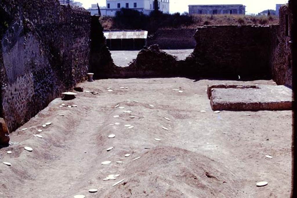 I.21.3 Pompeii. 1974. Looking south with root cavities now marked by white painted wooden discs for easier recognition by the “balloon” from the air. Photo by Stanley A. Jashemski.   
Source: The Wilhelmina and Stanley A. Jashemski archive in the University of Maryland Library, Special Collections (See collection page) and made available under the Creative Commons Attribution-Non Commercial License v.4. See Licence and use details. J74f0719