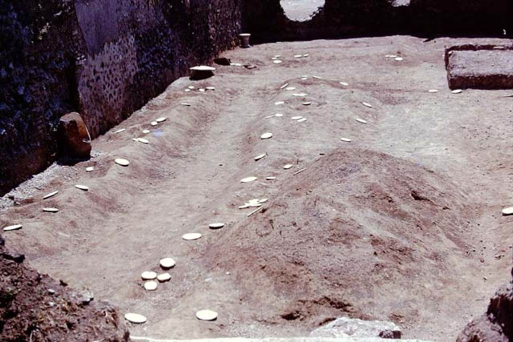 I.21.3 Pompeii. 1974. Looking south along east side, with root cavities. Photo by Stanley A. Jashemski.   
Source: The Wilhelmina and Stanley A. Jashemski archive in the University of Maryland Library, Special Collections (See collection page) and made available under the Creative Commons Attribution-Non Commercial License v.4. See Licence and use details. J74f0718