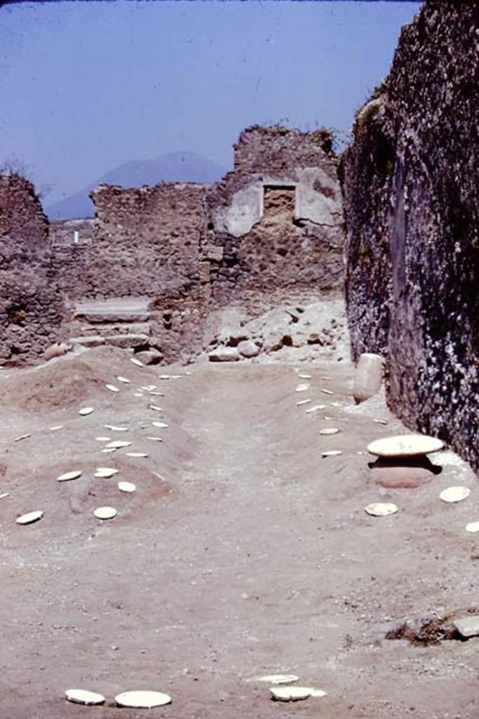 I.21.3 Pompeii. 1974. Looking north along east side. Photo by Stanley A. Jashemski.   
Source: The Wilhelmina and Stanley A. Jashemski archive in the University of Maryland Library, Special Collections (See collection page) and made available under the Creative Commons Attribution-Non Commercial License v.4. See Licence and use details. J74f0720