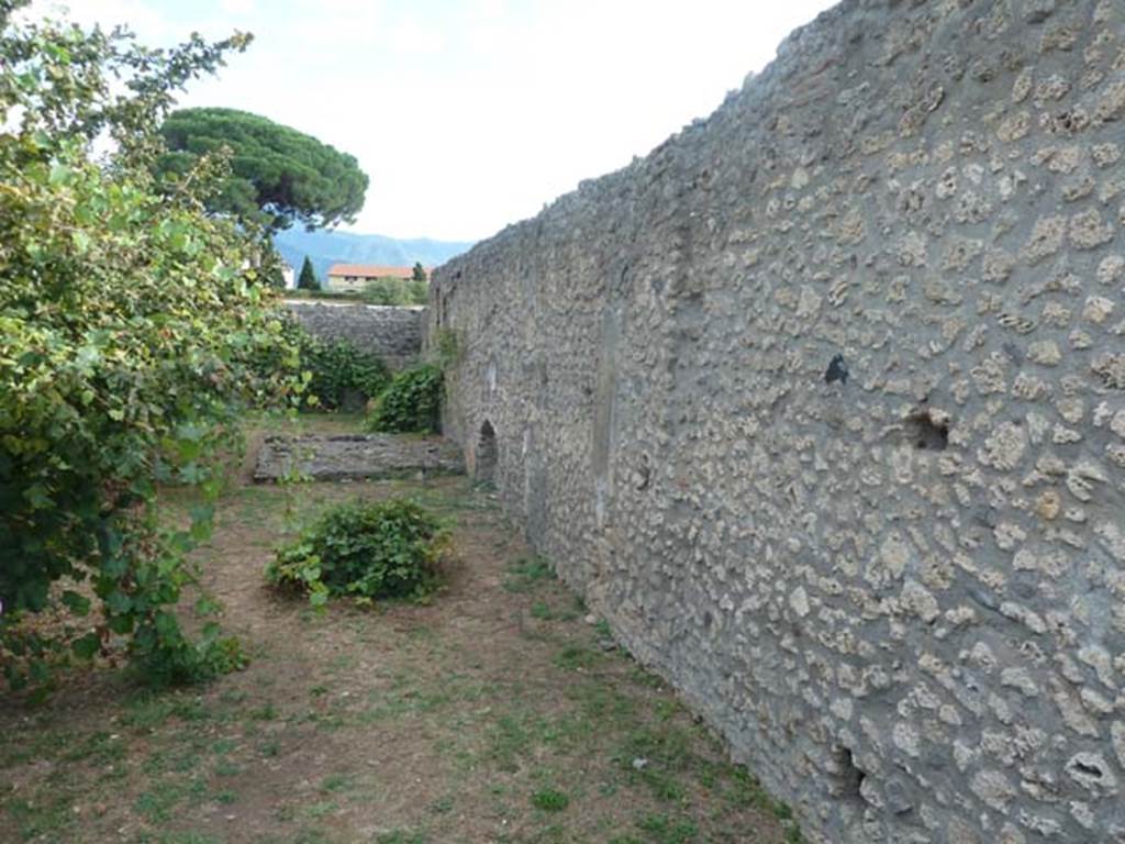 I.21.3 Pompeii. September 2015. Looking south along west wall.