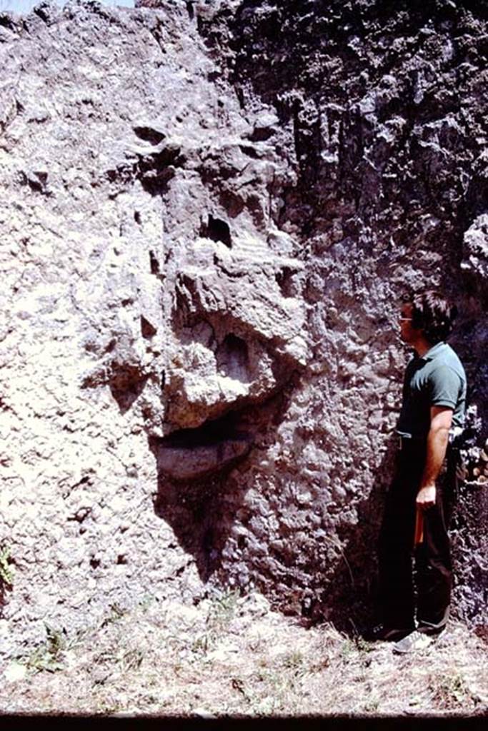 I.21.5 Pompeii. 1972. Looking towards south-east corner of garden area, Photo by Stanley A. Jashemski. 
Source: The Wilhelmina and Stanley A. Jashemski archive in the University of Maryland Library, Special Collections (See collection page) and made available under the Creative Commons Attribution-Non Commercial License v.4. See Licence and use details.
J72f0588