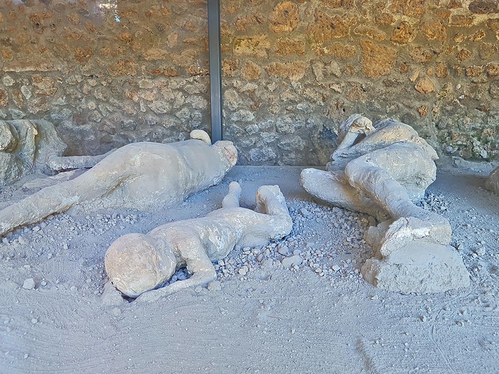 I.21.6 Pompeii. October 2024. 
Victim 41, 40 and 39, detail of three plaster-casts of impressions of victims. Photo courtesy of Giuseppe Ciaramella.