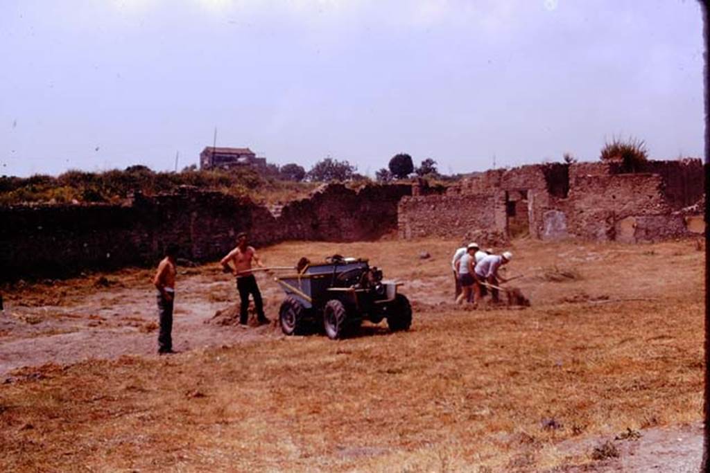 I.21.6 Pompeii. 1974. Cleaning of the site, looking north-west. Photo by Stanley A. Jashemski.   
Source: The Wilhelmina and Stanley A. Jashemski archive in the University of Maryland Library, Special Collections (See collection page) and made available under the Creative Commons Attribution-Non Commercial License v.4. See Licence and use details. J74f0152