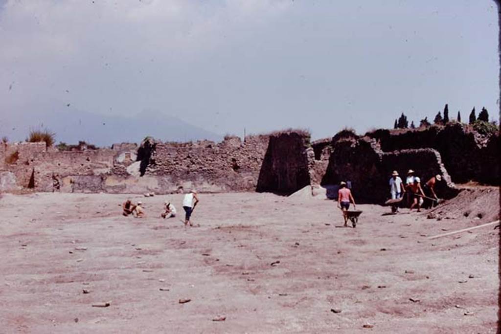I.21.6 Pompeii. 1974. Looking towards north-east corner of site across lines of protected root cavities. Photo by Stanley A. Jashemski.   
Source: The Wilhelmina and Stanley A. Jashemski archive in the University of Maryland Library, Special Collections (See collection page) and made available under the Creative Commons Attribution-Non Commercial License v.4. See Licence and use details. J74f0226