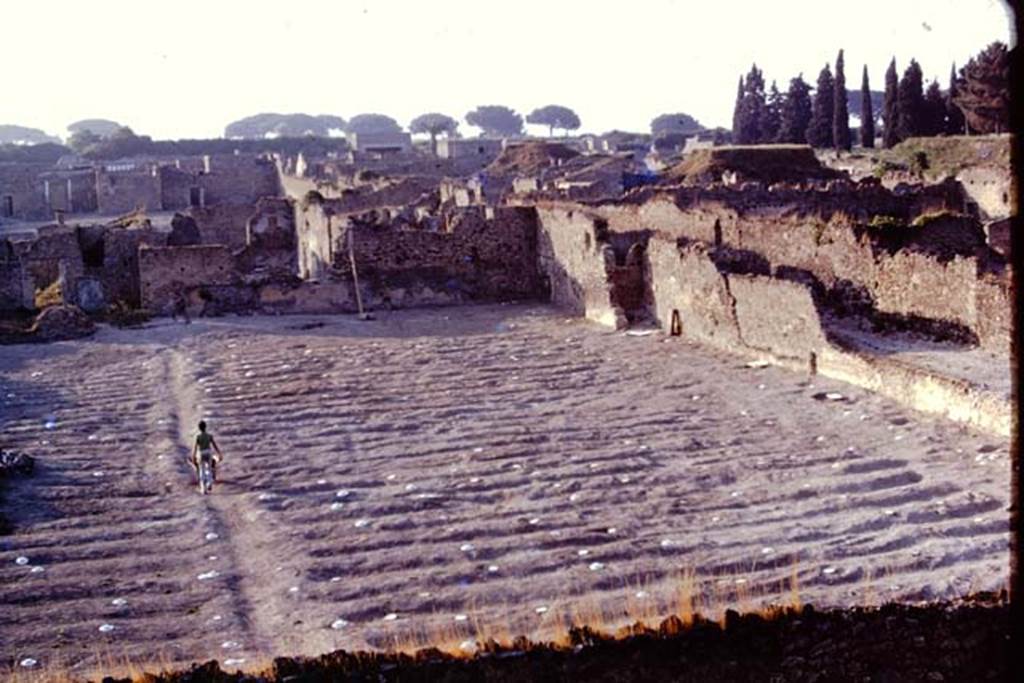 I.21.6 Pompeii. 1974. Looking north-east across garden area where the painted discs have now replaced the stones. The white painted wooden discs were to ensure the “balloon”, photographing from above, would be able to easily identify the root cavities. Photo by Stanley A. Jashemski.   
Source: The Wilhelmina and Stanley A. Jashemski archive in the University of Maryland Library, Special Collections (See collection page) and made available under the Creative Commons Attribution-Non Commercial License v.4. See Licence and use details. J74f0692