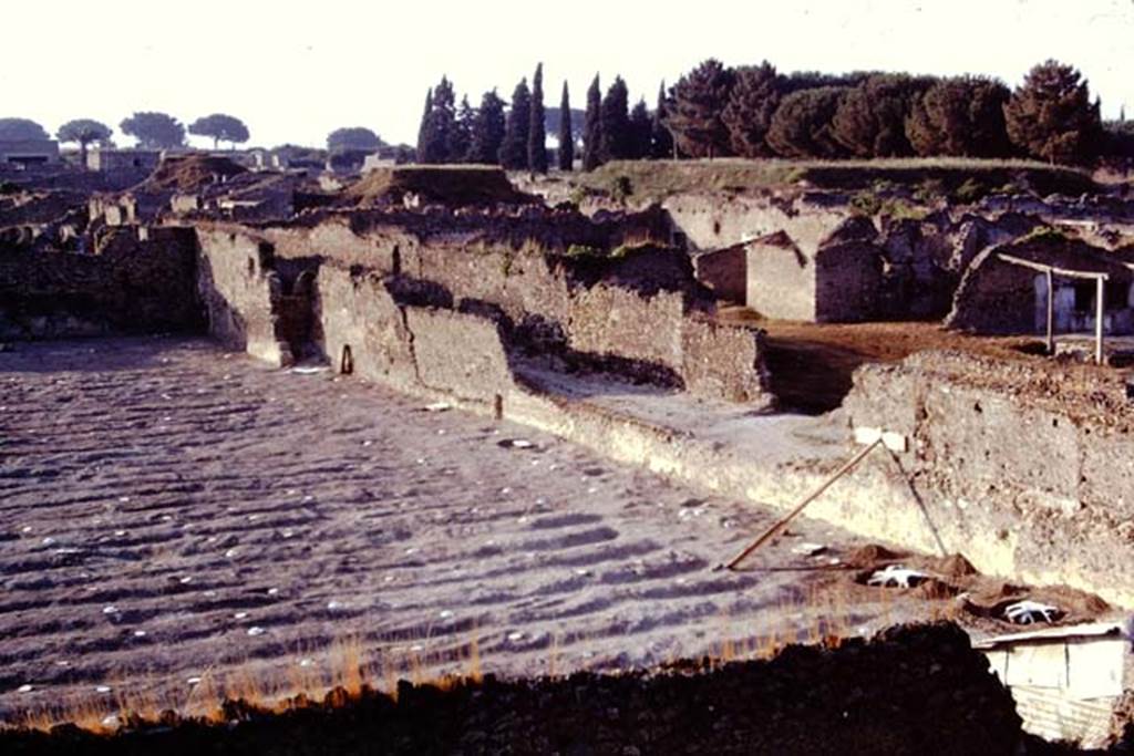 I.21.6 Pompeii. 1974. Looking across furrows and painted discs covering root cavities towards east wall, and I.20.1 on the right.  Near the east wall, larger tree root cavities, painted white, can be seen. Photo by Stanley A. Jashemski.   
Source: The Wilhelmina and Stanley A. Jashemski archive in the University of Maryland Library, Special Collections (See collection page) and made available under the Creative Commons Attribution-Non Commercial License v.4. See Licence and use details. J74f0693
According to Wilhelmina, 
413 cavities were found, 12 of which were those of large trees which tended to have been planted at the sides of the garden. There were also another 15 smaller tree-root cavities in the garden.  29 of the cavities may have been those of stakes. The smaller cavities were so badly damaged that they were difficult to identify.  They may have been the cavities of an informally planted vineyard, or perhaps even rosebushes, used for the perfume industry. In the north of the garden, in an area which was not planted and may have been a work area, many shallowly buried fragments of terracotta unguent containers were found.
See Jashemski, W.F., 2014. Discovering the Gardens of Pompeii: Memoirs of a Garden Archaeologist, (p.216)