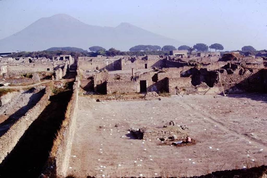 I.21.6 Pompeii. 1974. Looking north across triclinium and along west side of garden area. On the left is the Vicolo della Nave Europa. Photo by Stanley A. Jashemski.   
Source: The Wilhelmina and Stanley A. Jashemski archive in the University of Maryland Library, Special Collections (See collection page) and made available under the Creative Commons Attribution-Non Commercial License v.4. See Licence and use details. J74f0699