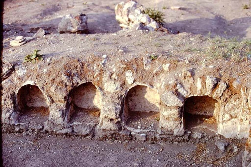 I.21.6 Pompeii. 1974. Triclinium.  Photo by Stanley A. Jashemski.   
Source: The Wilhelmina and Stanley A. Jashemski archive in the University of Maryland Library, Special Collections (See collection page) and made available under the Creative Commons Attribution-Non Commercial License v.4. See Licence and use details. J74f0357
