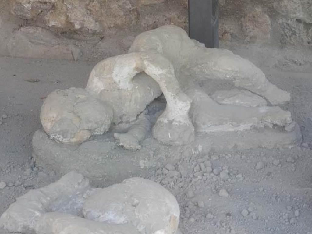 I.21.6 Pompeii. May 2016. Detail of plaster casts of impression of bodies. 
Photo courtesy of Buzz Ferebee.