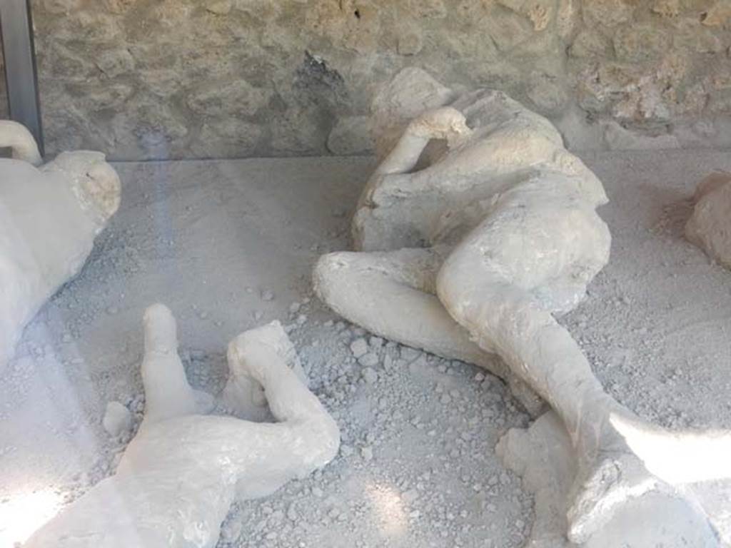 .21.6 Pompeii. May 2016. Detail of plaster casts of the impression of bodies.   
Photo courtesy of Buzz Ferebee.