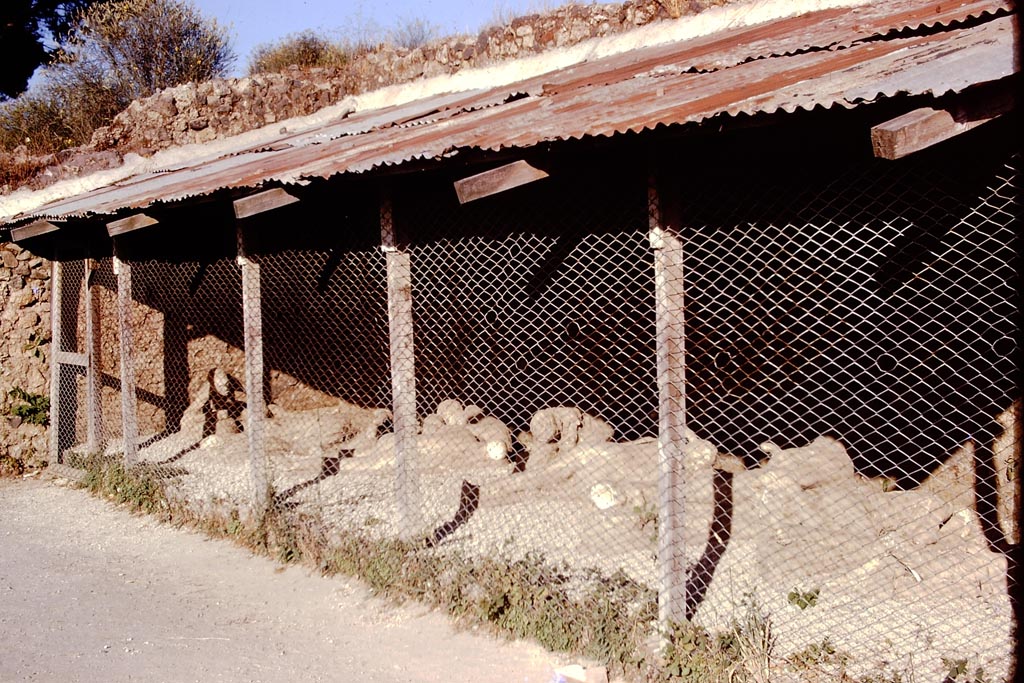 I.21.6 Pompeii. 1974. 
Area in south-east corner of site for housing the plaster-casts of the impression of the bodies found. Photo by Stanley A. Jashemski.   
Source: The Wilhelmina and Stanley A. Jashemski archive in the University of Maryland Library, Special Collections (See collection page) and made available under the Creative Commons Attribution-Non-Commercial License v.4. See Licence and use details.
J74f0306
According to Wilhelmina, when the site was excavated in 1961-62, the casts were removed from where they were found near the top of the volcanic fill, and moved to the rear of the garden into a screened shed. 
See Jashemski, W.F., 2014. Discovering the Gardens of Pompeii: Memoirs of a Garden Archaeologist, (p.215)