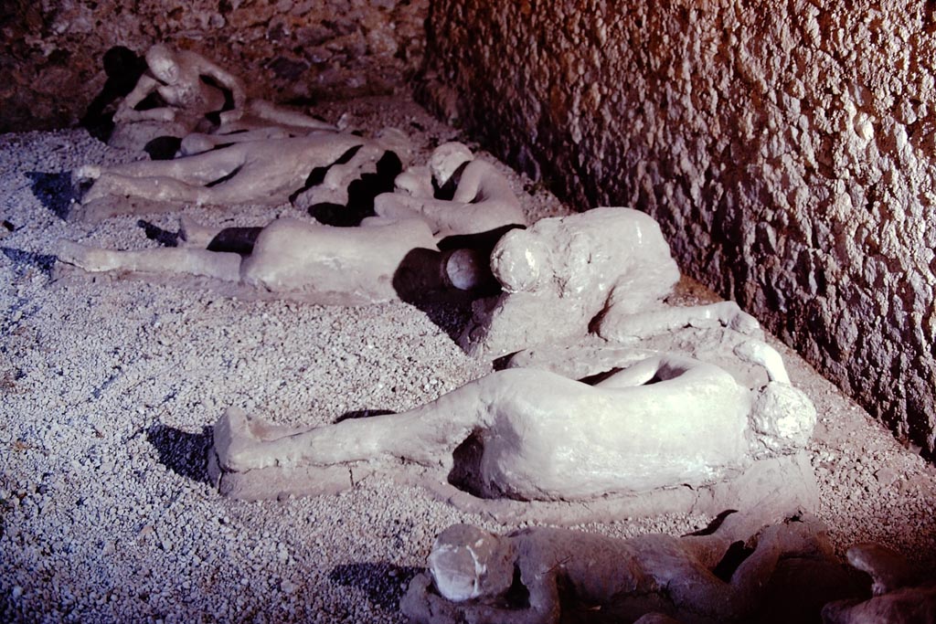 I.21.6 Pompeii. 1974. Plaster casts of bodies. Photo by Stanley A. Jashemski.   
Source: The Wilhelmina and Stanley A. Jashemski archive in the University of Maryland Library, Special Collections (See collection page) and made available under the Creative Commons Attribution-Non-Commercial License v.4. See Licence and use details.
J74f0221