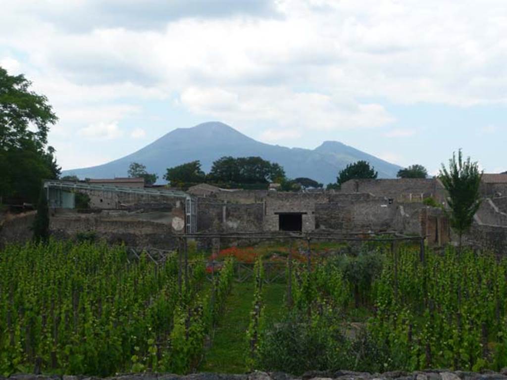 I.22.3/2/1 Pompeii. May 2011. Looking north across insula, from rear of I.22.1, 2 and 3.
Photo courtesy of Buzz Ferebee.