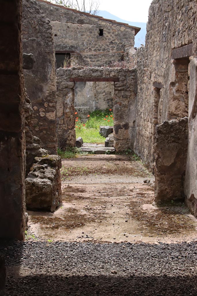 II.1.1 Pompeii. May 2024.  
Looking south towards rear and II.1.13. Photo courtesy of Klaus Heese.