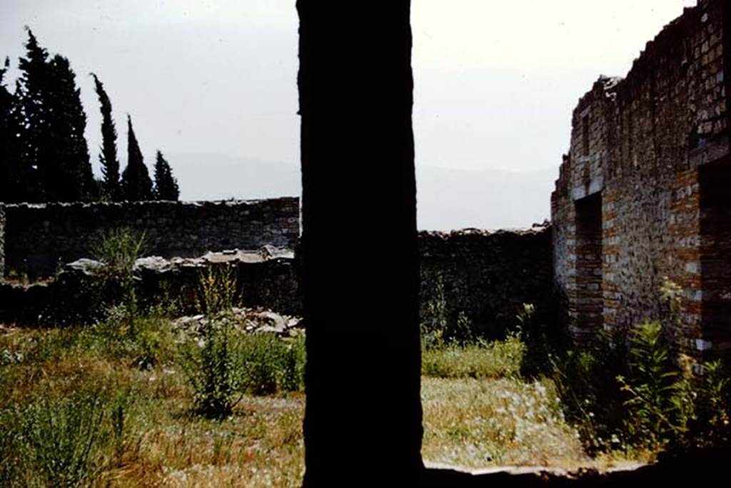 II.1.5 Pompeii. 1961. Looking south from window and doorway of rear room onto garden, at II.1.7.  Photo by Stanley A. Jashemski.
Source: The Wilhelmina and Stanley A. Jashemski archive in the University of Maryland Library, Special Collections (See collection page) and made available under the Creative Commons Attribution-Non Commercial License v.4. See Licence and use details.
J61f0636