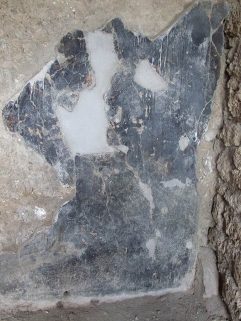 II.1.5 Pompeii.  Large Taberna.  Remains of painted decoration above the steps in north east corner of rear room.