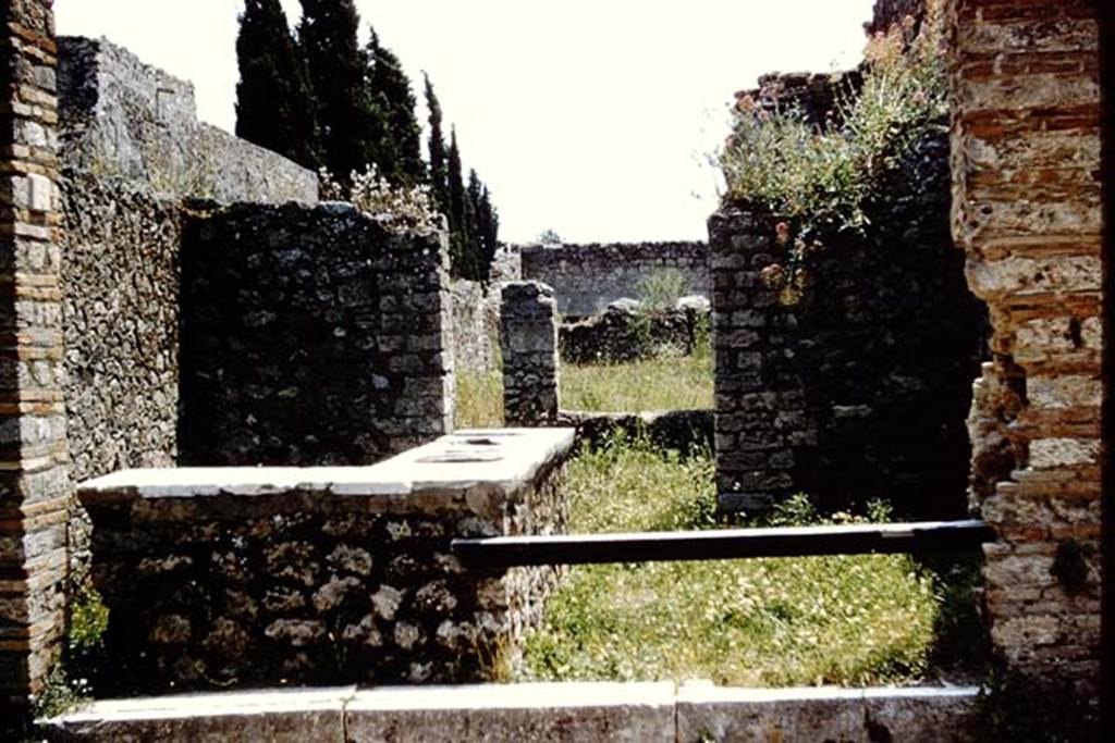 II.1.6 Pompeii. 1961. Looking south through entrance doorway towards rear room and garden area. Photo by Stanley A. Jashemski.
Source: The Wilhelmina and Stanley A. Jashemski archive in the University of Maryland Library, Special Collections (See collection page) and made available under the Creative Commons Attribution-Non Commercial License v.4. See Licence and use details.
J61f0637