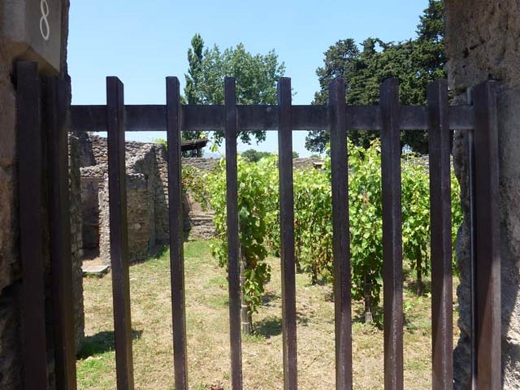 II.1.8 Pompeii. June 2012. Looking north across planted vines, from entrance doorway.
Photo courtesy of Michael Binns.