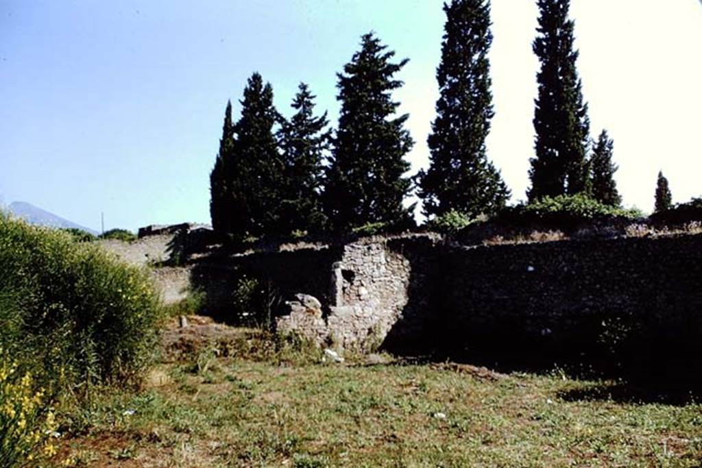 II.1.8 Pompeii. 1966. Looking north-east across garden, see also II.1.9. Photo by Stanley A. Jashemski.
Source: The Wilhelmina and Stanley A. Jashemski archive in the University of Maryland Library, Special Collections (See collection page) and made available under the Creative Commons Attribution-Non Commercial License v.4. See Licence and use details.
J66f0181