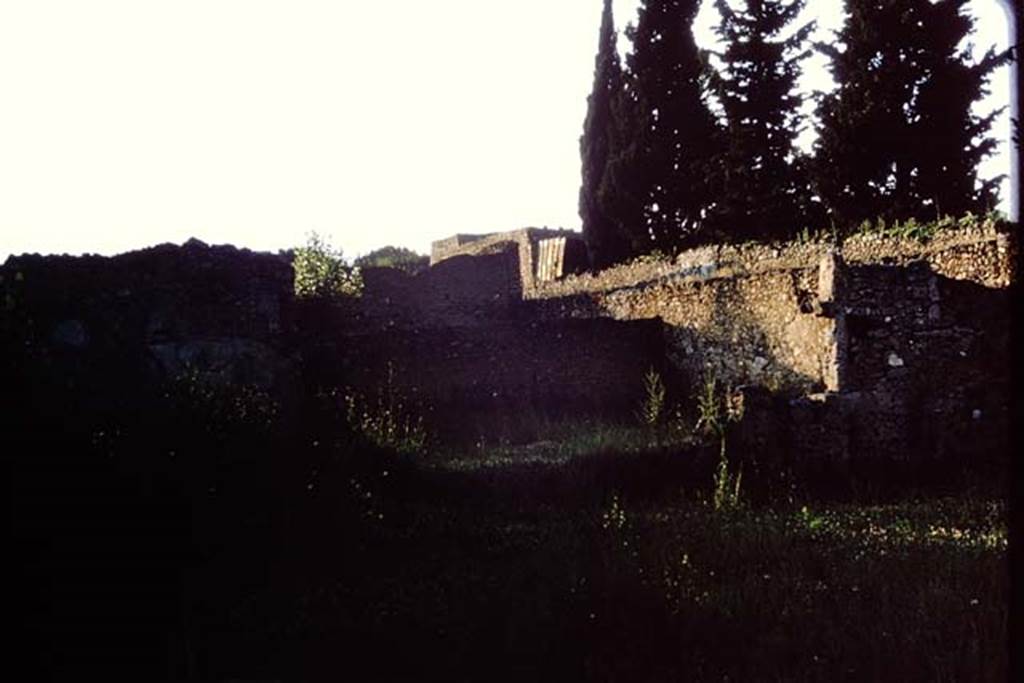 II.1.8/9 Pompeii. 1964. Looking north across garden area, and into the garden of  II.1.10, as the wall is down. Photo by Stanley A. Jashemski.
Source: The Wilhelmina and Stanley A. Jashemski archive in the University of Maryland Library, Special Collections (See collection page) and made available under the Creative Commons Attribution-Non Commercial License v.4. See Licence and use details.
J64f1339