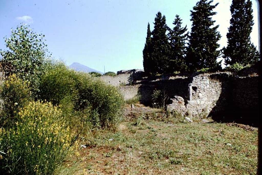 II.1.9 Pompeii. 1966. Looking north-east across garden area, and into II.1.10.  Photo by Stanley A. Jashemski.
Source: The Wilhelmina and Stanley A. Jashemski archive in the University of Maryland Library, Special Collections (See collection page) and made available under the Creative Commons Attribution-Non Commercial License v.4. See Licence and use details.
J66f0182