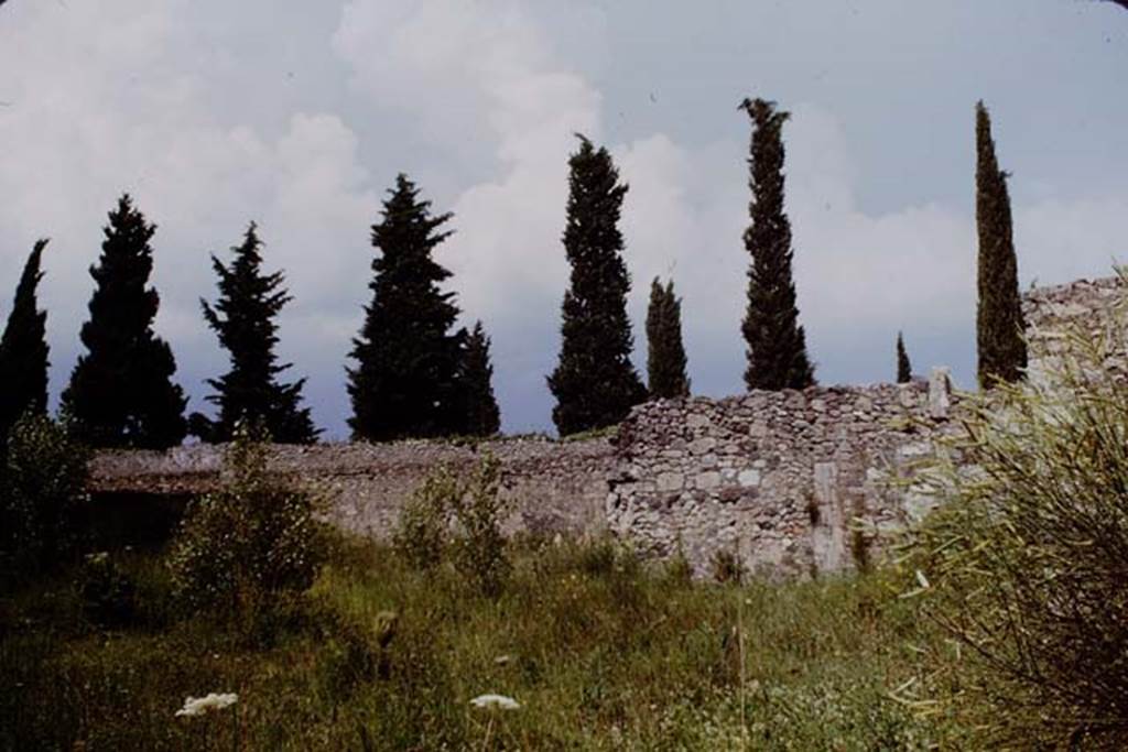 II.1.9 Pompeii. 1964. Looking north-east across garden area, and into garden of II.1.10.  Photo by Stanley A. Jashemski.
Source: The Wilhelmina and Stanley A. Jashemski archive in the University of Maryland Library, Special Collections (See collection page) and made available under the Creative Commons Attribution-Non Commercial License v.4. See Licence and use details.
J64f1365