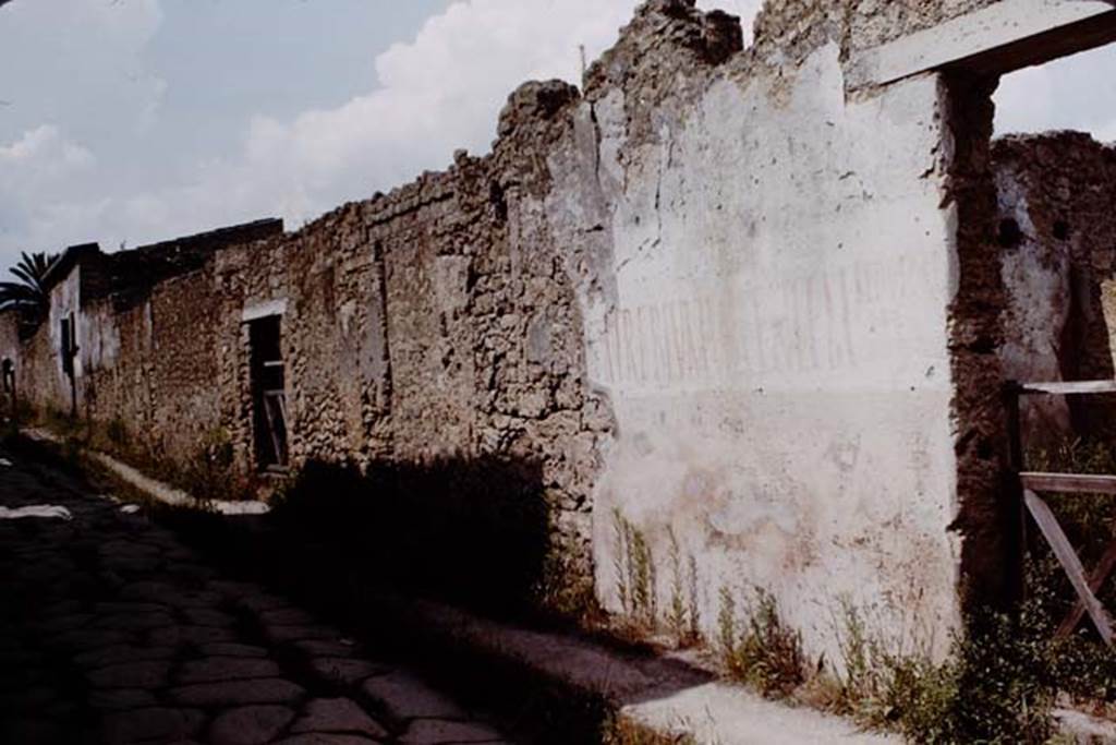 II.1.10 Pompeii. 1964. Painted wall on north side of entrance doorway on Via di Nocera.
Photo by Stanley A. Jashemski.
Source: The Wilhelmina and Stanley A. Jashemski archive in the University of Maryland Library, Special Collections (See collection page) and made available under the Creative Commons Attribution-Non Commercial License v.4. See Licence and use details.
J64f1368 
According to Varone and Stefani, the inscription is CIL IV 9884 and was found on the south of the doorway.  It read –
                                                                    AED V B D R P
A . TREBIVM . VALENTEM    O . V . F .
                                                                    GRANIVS ROG
See Varone, A. and Stefani, G., 2009. Titulorum Pictorum Pompeianorum, Rome: L’erma di Bretschneider. (p.185)
According to Epigraphik-Datenbank Clauss/Slaby (See www.manfredclauss.de), it read
A(ulum) Trebium Valentem 
Aed(ilem) V(irum) B(onum) D(ignum) R(ei) P(ublicae)
O(ro) V(os) F(acciatis)
Granius Rog(at)