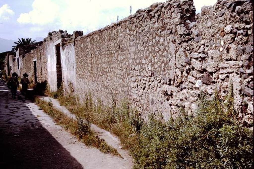II.1.10 Pompeii. 1964. Looking north along the exterior wall towards the entrance doorway.
Photo by Stanley A. Jashemski.
Source: The Wilhelmina and Stanley A. Jashemski archive in the University of Maryland Library, Special Collections (See collection page) and made available under the Creative Commons Attribution-Non Commercial License v.4. See Licence and use details.
J64f1367
On the south side of doorway, according to Varone and Stefani, an inscription was seen, but no longer preserved. It read –
C . GAVIVM . RVFVM AED OVF GRANIVS ROG.   (CIL IV 9883)
See Varone, A. and Stefani, G., 2009. Titulorum Pictorum Pompeianorum, Rome: L’erma di Bretschneider. (p.184)
According to Epigraphik-Datenbank Clauss/Slaby (See www.manfredclauss.de), it read
C(aium) Gavium Rufum Aed(ilem) O(ro) V(os) F(acciatis) Ganius Rog(at)    (CIL IV 9883)