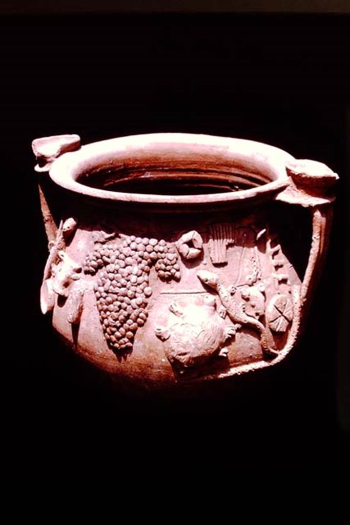 II.1.12 Pompeii, 1978. Detail of the other side of the terracotta vase. Photo by Stanley A. Jashemski.   
Source: The Wilhelmina and Stanley A. Jashemski archive in the University of Maryland Library, Special Collections (See collection page) and made available under the Creative Commons Attribution-Non Commercial License v.4. See Licence and use details. J78f0593