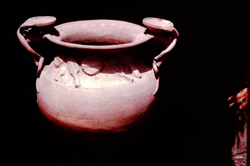 II.1.12 Pompeii, 1978. Reverse of the terracotta vase. Photo by Stanley A. Jashemski.   
Source: The Wilhelmina and Stanley A. Jashemski archive in the University of Maryland Library, Special Collections (See collection page) and made available under the Creative Commons Attribution-Non Commercial License v.4. See Licence and use details. J78f0595