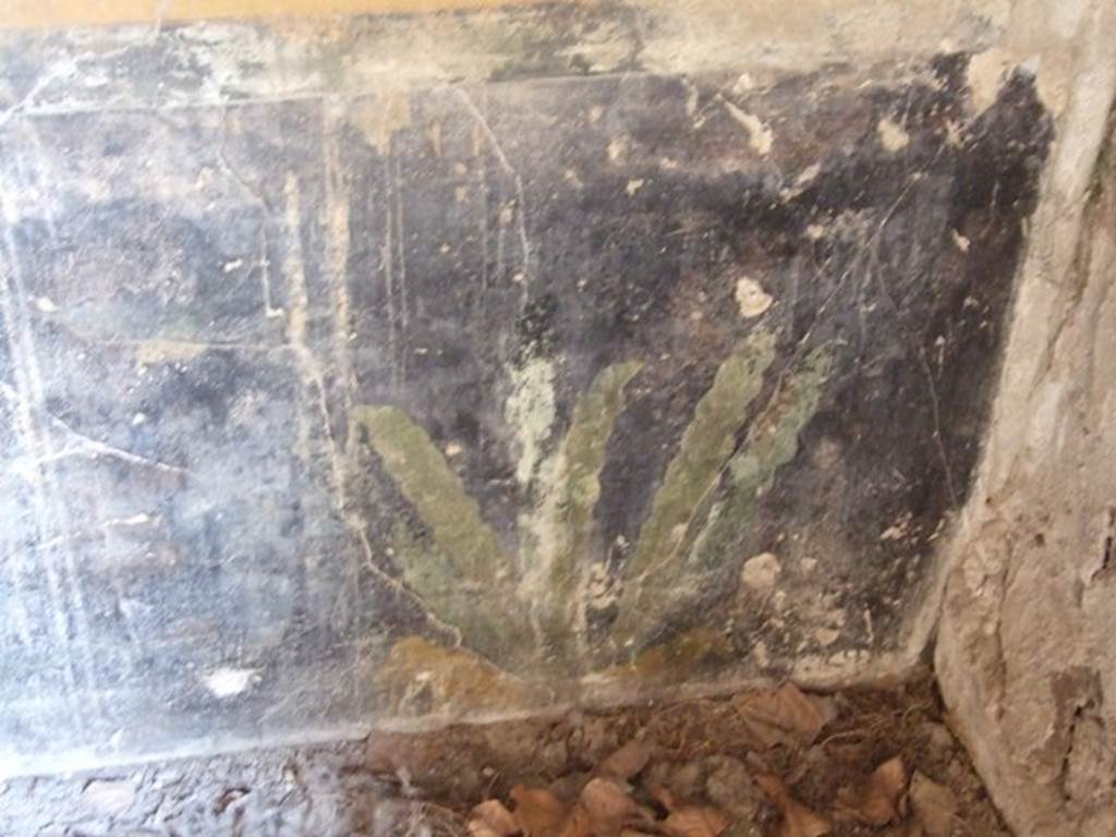 II.1.12 Pompeii. March 2009. Painted plants on zoccolo on lower north wall of triclinium at east end.