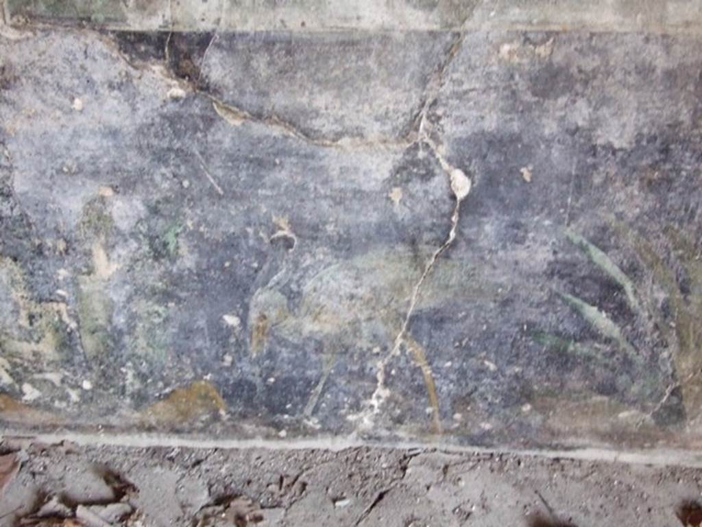 II.1.12 Pompeii. March 2009. Painted plants and heron on zoccolo on lower north wall of triclinium.