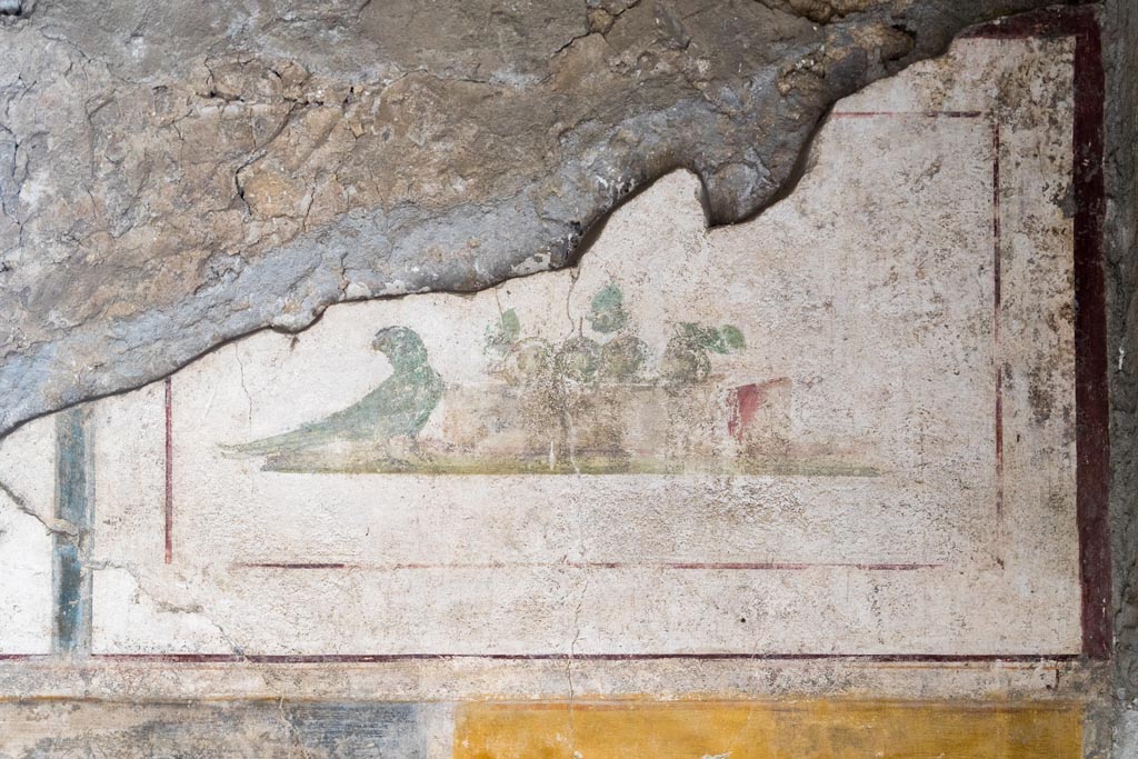 II.1.12 Pompeii. July 2021. 
Triclinium, upper section of north wall at east end. Wall painting of a parrot and fruit. Photo courtesy of Johannes Eber.
