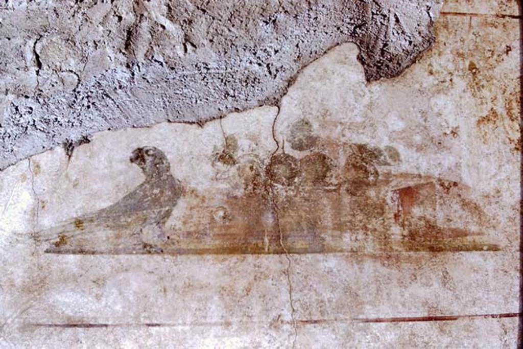 II.1.12 Pompeii. 1971. Upper section of north wall in triclinium. Wall painting of a parrot and fruit. Photo by Stanley A. Jashemski.
Source: The Wilhelmina and Stanley A. Jashemski archive in the University of Maryland Library, Special Collections (See collection page) and made available under the Creative Commons Attribution-Non Commercial License v.4. See Licence and use details.
J71f0173