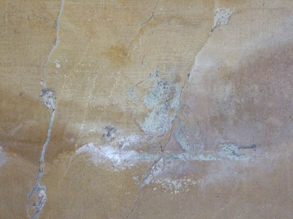 II.1.12 Pompeii. March 2009. Detail from yellow panel at east end of north wall of triclinium with remains of wall decoration.