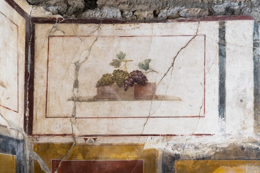 II.1.12 Pompeii. July 2021. 
Triclinium, upper section of north wall at west end. Painted panel of bunches of grapes. Photo courtesy of Johannes Eber.