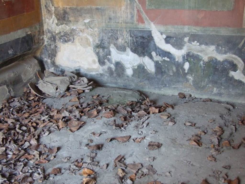 II.1.12 Pompeii. March 2009. Zoccolo on lower west wall in south-west corner of triclinium.
