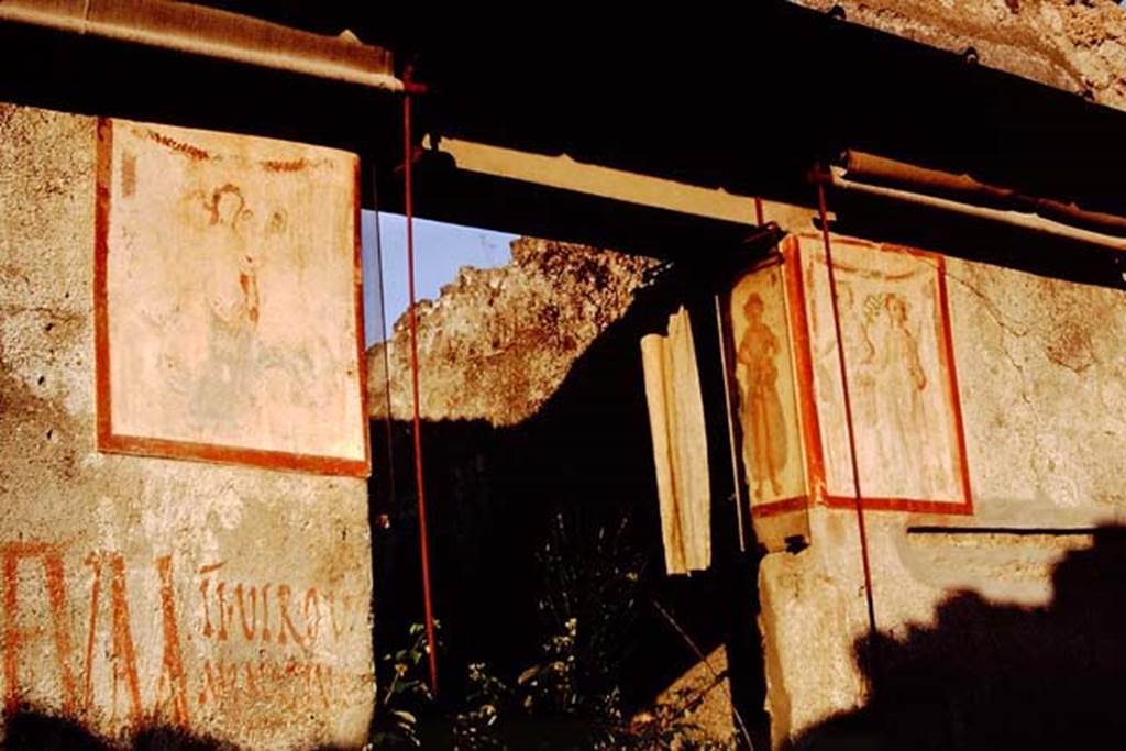 II.1.12 Pompeii, 1968. Entrance doorway on east side of Via di Nocera. On the left is a faded Venus rising from the sea, with graffiti below it. On the pilaster facing towards the doorway would have been another painting of a Priapus, but virtually destroyed. On the right is a faded Bacchus and Mercury, with graffiti below. On the pilaster in the doorway is a painted Priapus. Photo by Stanley A. Jashemski.
Source: The Wilhelmina and Stanley A. Jashemski archive in the University of Maryland Library, Special Collections (See collection page) and made available under the Creative Commons Attribution-Non Commercial License v.4. See Licence and use details.
J68f0270