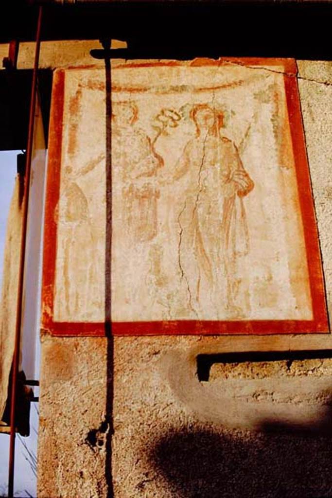 II.1.12 Pompeii, 1968. Pilaster painting from right (south) side of entrance façade. Painting of Bacchus and Mercury. Photo by Stanley A. Jashemski.
Source: The Wilhelmina and Stanley A. Jashemski archive in the University of Maryland Library, Special Collections (See collection page) and made available under the Creative Commons Attribution-Non Commercial License v.4. See Licence and use details.
J68f0274