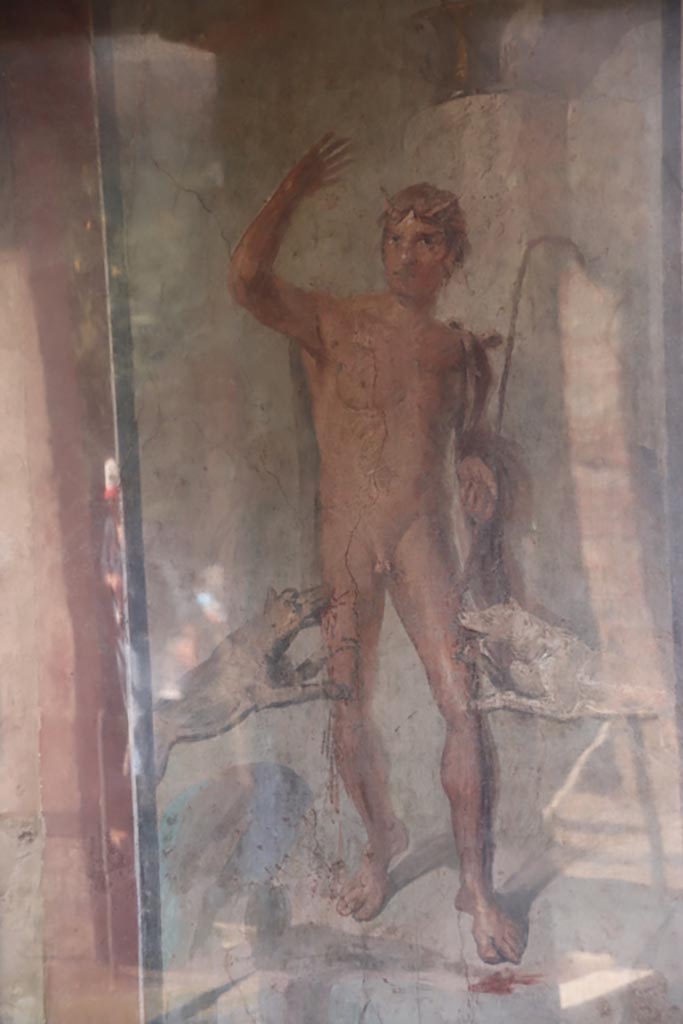 II.2.2 Pompeii. October 2022. 
Room “i”, west end of upper euripus. Painting of Actaeon being attacked by the goddess Diana’s dogs.
Photo courtesy of Klaus Heese