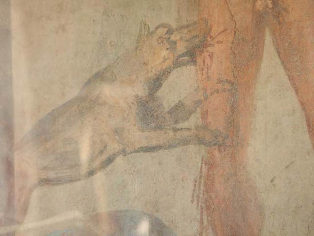 II.2.2 Pompeii. May 2016. Room "i", west end of upper euripus. Detail from painting of Actaeon being attacked by the goddess Diana’s dogs. Photo courtesy of Buzz Ferebee.