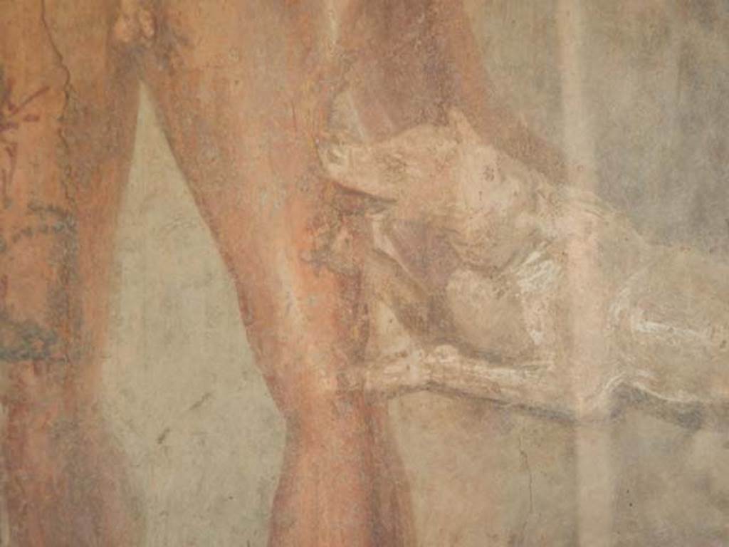 II.2.2 Pompeii. May 2016. Room "i", west end of upper euripus. Detail from painting of Actaeon being attacked by the goddess Diana’s dogs. Photo courtesy of Buzz Ferebee.